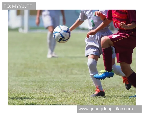 足球的魅力与激情探讨：从场上技艺到球迷文化的全方位解析