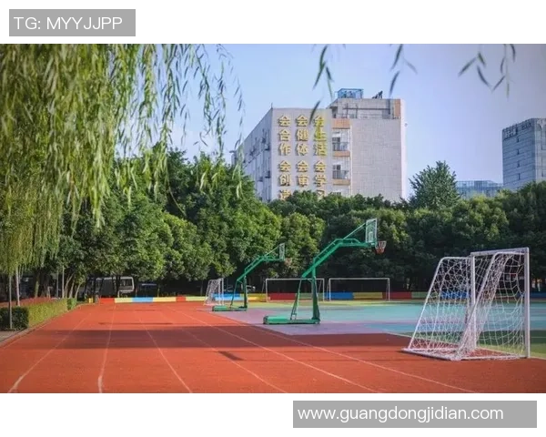 踢足球身体素质提升的全面指南与训练方法探讨